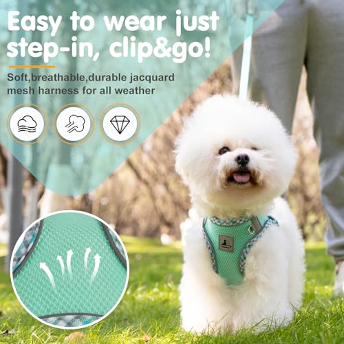 TomteNisse Dog Harness and Leash Set, No Pull Pet Harness for Small Dogs Easy Walking,Soft Breathable Small Dog Harness,Ad...