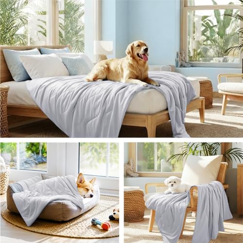 Luciphia Premium Cooling Dog Blanket Washable Q-MAX>0.5 Small Medium Large Pet Mat Puppy Cat Self-Cooling Soft Breathable ...