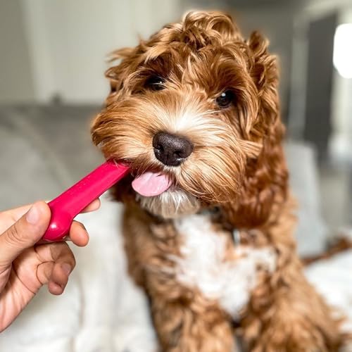 Nylabone Original Bone Power Chew Toy Value Pack for Dogs, Durable Dog Toys for Aggressive Chewers, Long Lasting Chicken, ...