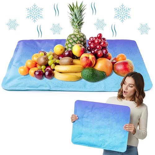 MALLMALL6 Reusable Freezable Ice Mat - 2Pcs Cooling Keeping Food Fresh Serving Tray for Outside Picnic Party Buffet, 19.7 ...