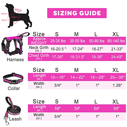 WINSEE Pet Harness Collar and Leash Set, All-in-one Reflective Dog Harness No Pull with Adjustable Buckles for Puppies, Sm...