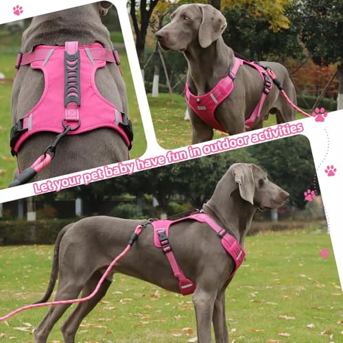 UNA MASCOTA Dog Harness No Pull Adjustable Reflective,for Medium and Large Small Dog with Leash 59.06in (Fuscia, XL)