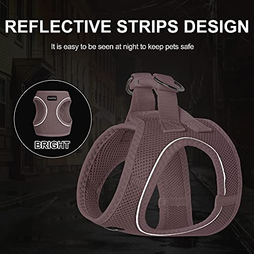 PetiFine Extra Small Step in Dog Harness and Leash Set, Cat Harness and Leash Escape Proof, All Weather Mesh Reflective, S...