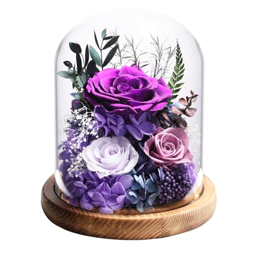 lovenfold Flowers for Delivery Preserved Rose Gifts for Women,Long-Lasting Forever Flowers in Glass Dome, Birthday Gifts f...