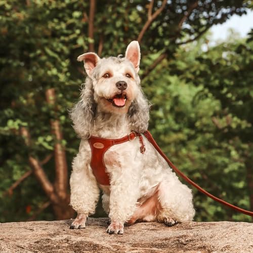 Beirui ‌Stylish PU Leather Dog Harness‌ and Leash Set for Small Dogs, ‌Adjustable Step in Dog Vest Harness with Breathable...