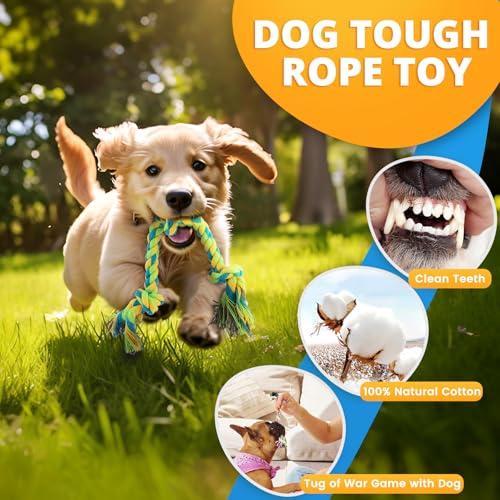 LOYEE 8 Pack Puppy Toys for Small Dogs, Luxury Dog Chew Toys with Squeaky Plush Toys, Rope Toys and Ball, Teething Toys fo...