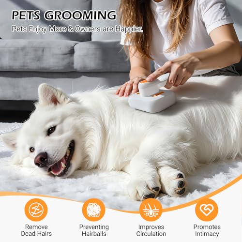 3-in-1 Pet Steam Brush: Rechargeable Grooming Tool with Gentle Mist Spray for Shedding Control, Self-Cleaning, 2-Speed, Wa...