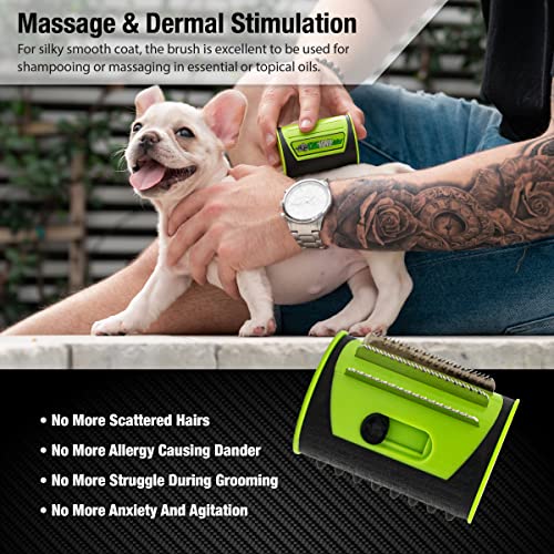 King Kanine Mini King Komb Pet Grooming Brush, Self Cleaning Deshedding | Multi-Use Tool for Cats & Kittens of All Life St...
