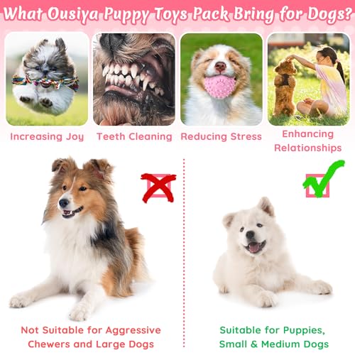 Ousiya 12 Pack Puppy Toys for Teething, Small & Medium Dogs – Chew Toys, Rope Toys & Interactive Dog Toys Set with Storage...