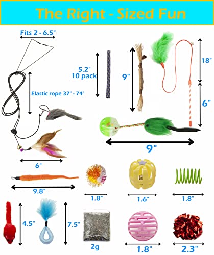 Fashion's Talk Cat Toys 50 Pcs for Indoor Cats,Interactive Door Hanging Mice Feather Toy Cat Spring Toy Cat Wand Catnip Cr...