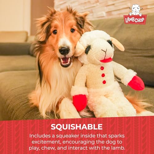 Multipet Lamb Chop Dog Plush Toy - Squeaky Toy for All Dogs - Extra Soft Plush - Stuffed Animal for Cuddling & Playing - J...