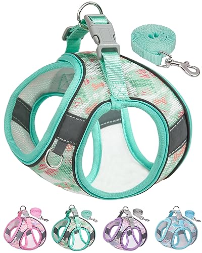 Aecllcea Dog Harness for Small Medium Dogs No Pull, Cat Harness and Leash Set, Step in Puppy Harness. (Green, S)