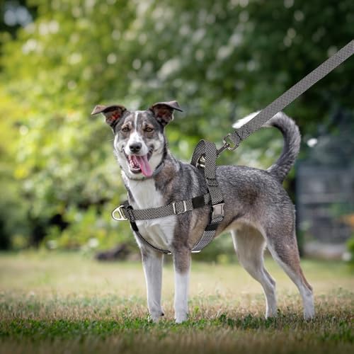 Annchwool Adjustable Dog Harness-Lightweight No Pull Dog Harness with Handle for Small & Medium and Large Dogs-Front Clip ...