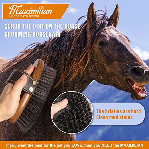 MAXIMILIAN World Class Handmade Equine Stiff Body Horse Brush. Professional Equine Grooming Tools. Effortlessly Removes Mu...