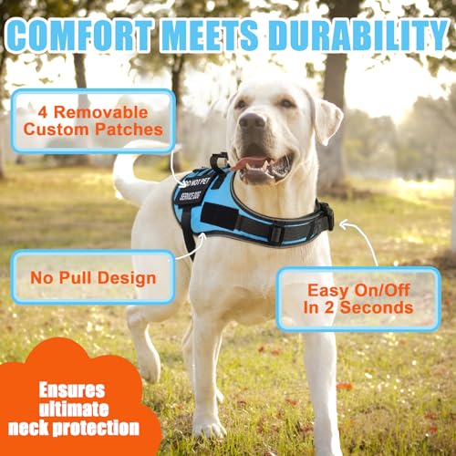 No Pull Dog Harness Small Medium Sized Dog, Service Dog Harness and Leash Set with 4 Patches, Adjustable Easy Walk Dogs Ha...