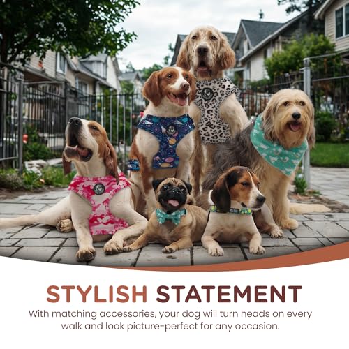 Silly Zilly No Pull Harness and Leash Set - 6-in-1 Adjustable Vest Harness and Collars for Medium and Large Dogs. (Leopar...