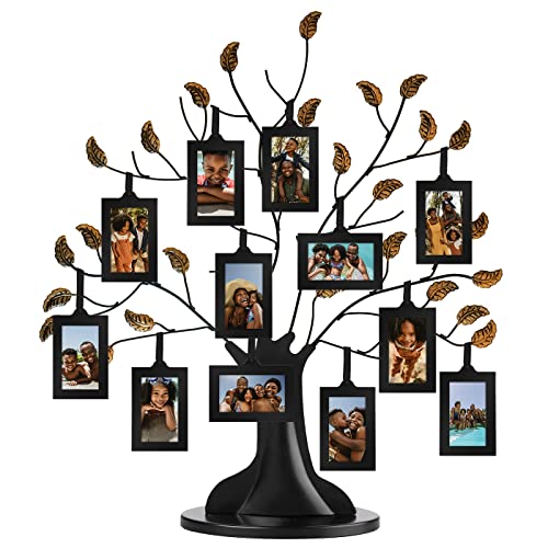 Americanflat Family Tree Picture Frame - Includes 12 Hanging 2x3 Picture Frames - Adjustable Ribbon Tassels - Ideal as Mot...