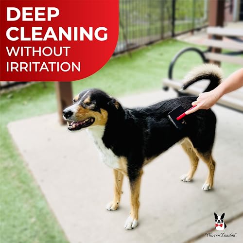 Warren London FurBreeze Pro Max Doodle Brush for Dogs – 4" x 3" Grooming Brush for Long & Thick Coats – Removes Mats & Tan...