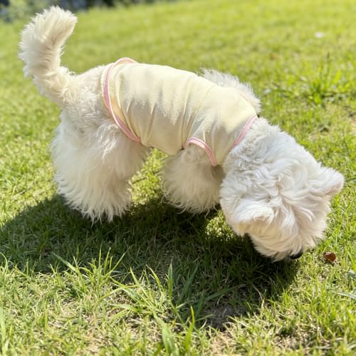 2Pcs Cooling Shirts for Small Dogs, Sleeveless Dog Vest, Lightweight Breathable Dog Summer Tank Top Sun Protection Shirts ...