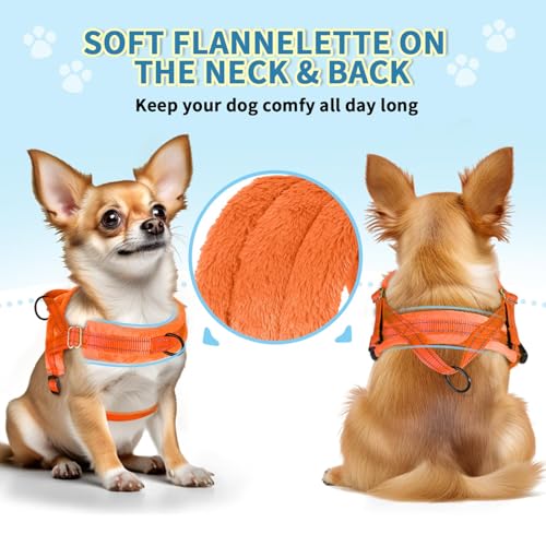 Lukovee No Pull Dog Harness and Leash Set, Soft Padded Small Dog Harness, Neck & Chest Adjustable Reflective Vest Puppy Ha...