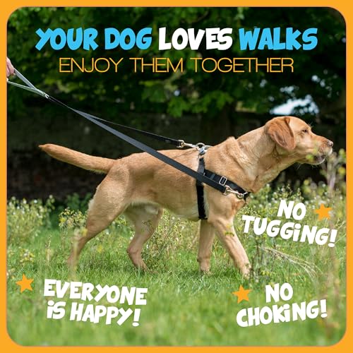 2 Hounds Design Freedom No Pull Dog Harness, Adjustable Harness, Easy Walking & Comfortable Control, Fits Small, Medium & ...