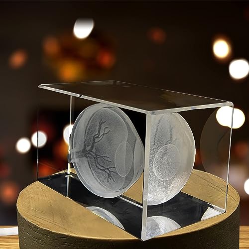 Eye Art For An Ophthalmologists | 3D Engraved Crystal Keepsake | Gift For Doctor| Collectible | Souvenir | personalized 3D...