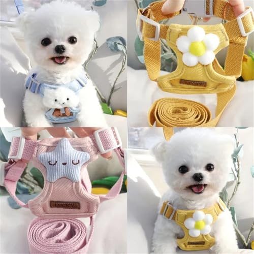 Dog Harness Backpack Cute Small Dog Vest Harness and Leash Set Plaid Soft Mesh Flower Pattern Dog Harness with Adjustable ...
