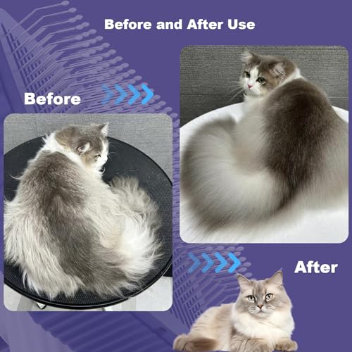 Garstor Cat brush, Cat Brush for Long or Short Haired Cats, Remove Loose Fur and Mats, Rounded Pins Reduces Painful Pullin...