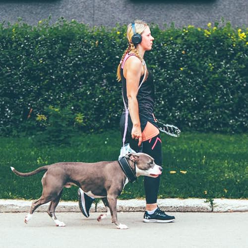 Tiesenci Hands Free Dog Leash Crossbody & Waist for Walking, 9-in-1 No Pull Dog Harness & Leash Set, Heavy Duty Waterproof...