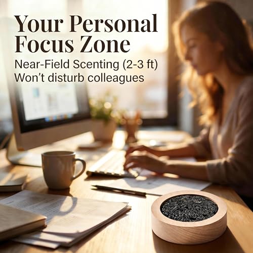 CUIYAKI 4Pcs Small Passive Lava Rock Diffuser for Essential Oils Great for Decorating at Desk, Office or Car