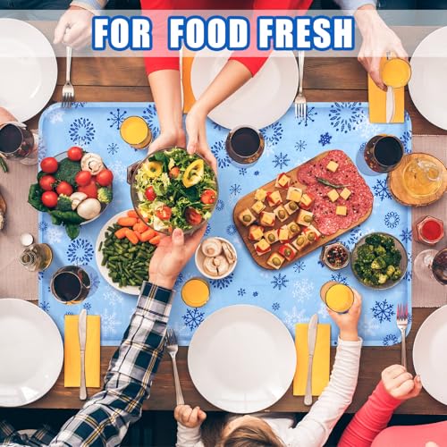 Reallnaive 24 x 35 Inches Extra Large Reusable Freezable Ice Mat for Buffet 1 Pc Chilled Serving Tray Cooling Charcuterie ...