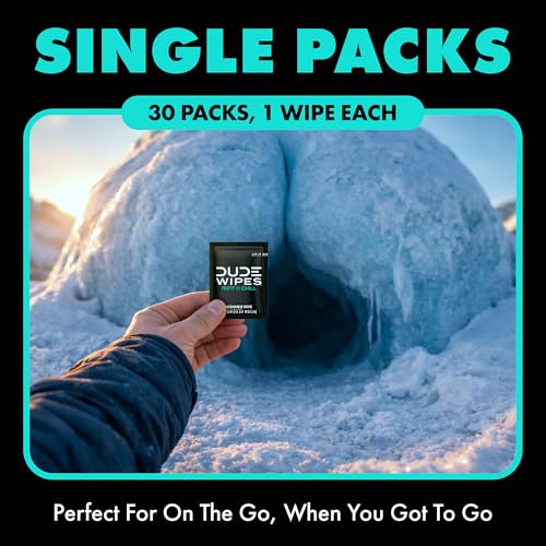 DUDE Wipes On-The-Go Mint Chill Travel Wipes - 30 Count (Individually Wrapped) - Extra-Large Adult Flushable Wipes - Infus...