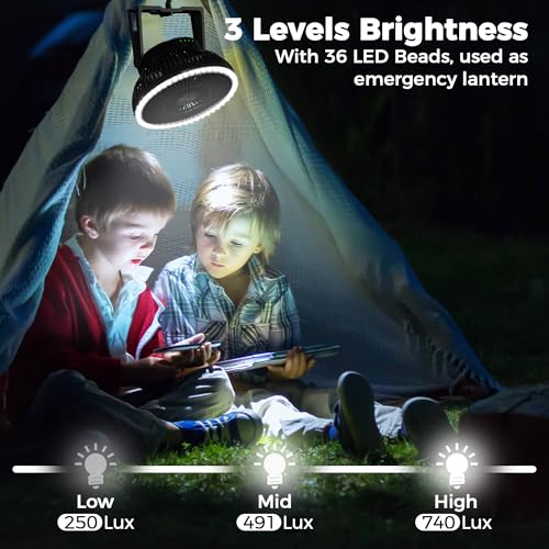 Portable Camping Fan with LED Lantern, 24HRS Running 8inch Rechargeable Tent Fan, Powerful 3-Speed 180° Rotate with Hook, ...