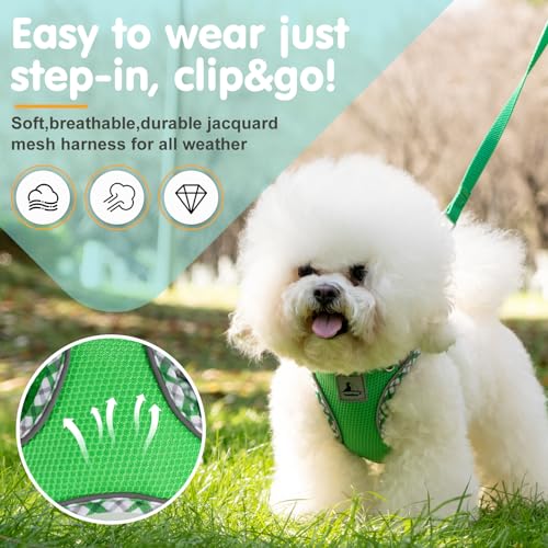 TomteNisse Dog Harness and Leash Set, No Pull Pet Harness for Small Dogs Easy Walking,Soft Breathable Small Dog Harness,Ad...