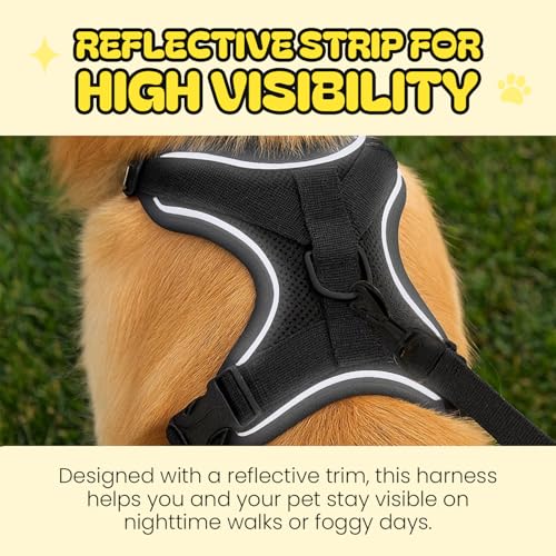 AdoPet No-Pull Cat Harness and Leash Set for Small Cats – Adjustable Reflective Soft Padded Pet Vest for Walking & Trainin...
