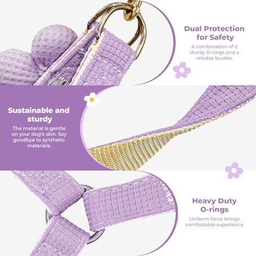 PETCARE Cute Flower Dog Harness and Bowtie Leash Set Easy Walk Puppy Dog Halter Harness for Small Dogs Girl Step in Dogs H...