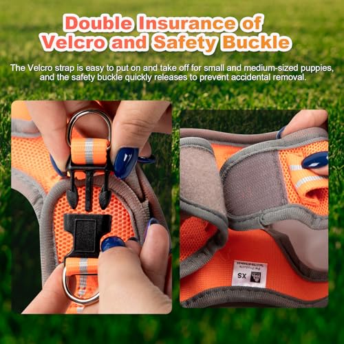 Dog Harness Medium Sized Dogs, Puppy Harness and Leash Set for Training, Running, Walking, Suitable for Small and Medium D...