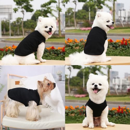 Dog Shirt Vest Clothes for Small Dogs Boy Girl Summer Solid Stretchy Puppy T-Shirts Soft Cool Breathable Lightweight Dog S...