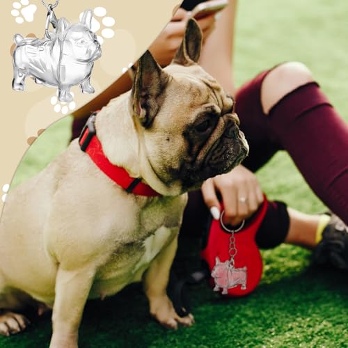 Nosiny 3 Pcs Dog Hair Collector Keychain Charm Memorial Storage Box Plastic Pet Fur Holder Keyring Cute Dog Hair Keepsake ...