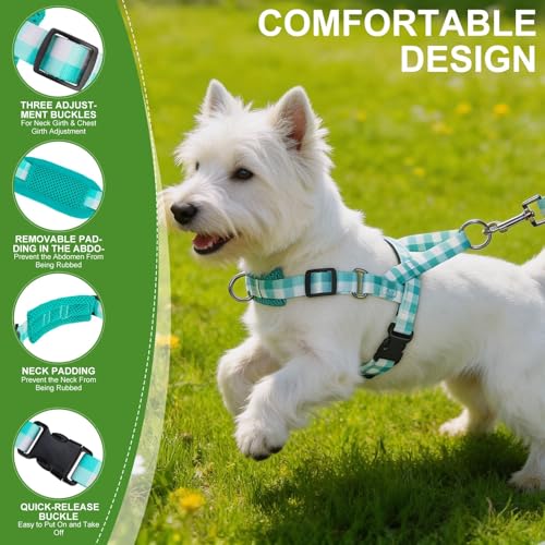 EXPAWLORER No Pull Small Dog Harness and Leash Set, Adjustable Soft Breathable Mesh Puppy Vest with Padded, Quick Fit Esca...