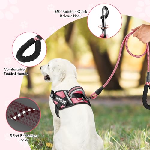 Service Dog Vest Harness and Leash Set, Animire in Training Dog Harness with 10 Dog Patches, Reflective Dog Leash with Sof...