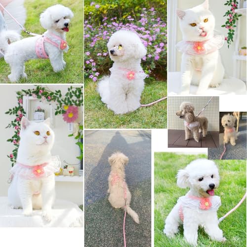 Cat Harness Collar and Leash Set, Sweet Lace Floral Kitten Collar, Escape Proof Puppy Chest Harness, Adjustable Cute Harne...