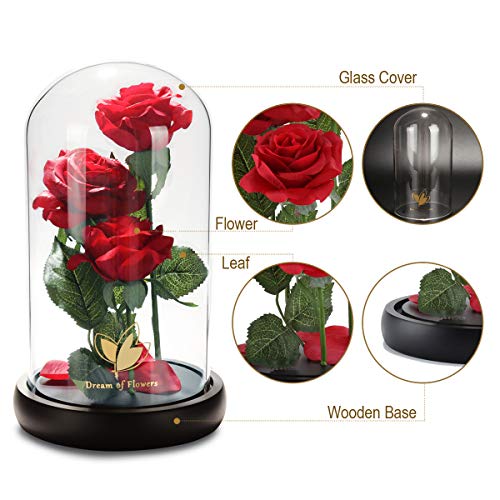 Beauty and The Beast Rose, Classic Red Rose with LED Lights and Falling Petals, Gifts for Women, Birthday Gifts for Women,...