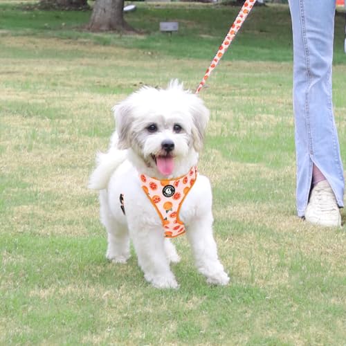 Dog Cat Harness and Leash Set, Puppia Soft Mesh Padded and Adjustable Puppy Vest Cute Dog Clothes Escape Proof Easy Walk P...