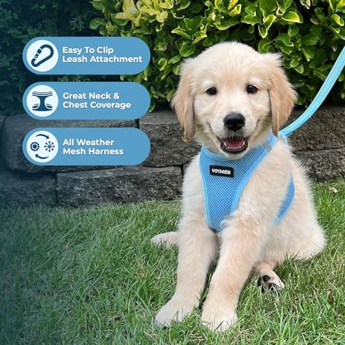 Best Pet Supplies Voyager Step-in Air Harness - All Weather Mesh, Reflective, No Pull Harness for Dogs, Cats - Secure with...