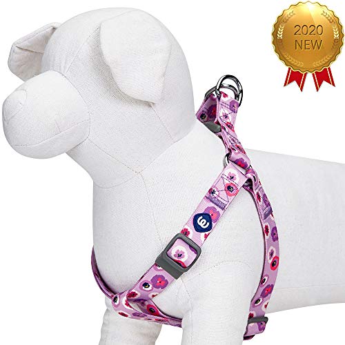 Blueberry Pet Essentials Step-in Spring Scent Inspired Garden Floral Dog Harness in Light Purple, Chest Girth 16.5" - 21....