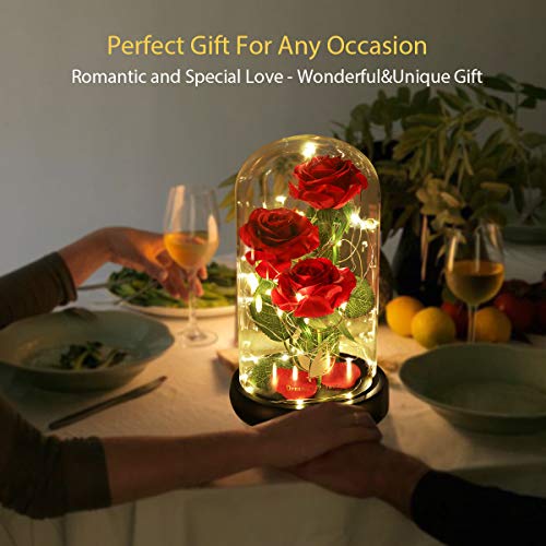Dream of Flowers Mother Day Enchanted Red Gifts for Mom,Beauty and The Beast Rose in Glass Dome,Anniversary Rose Gifts for...