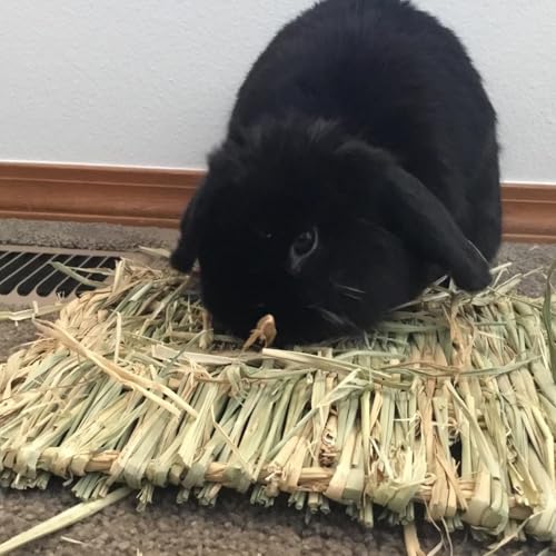 PINVNBY Natural Grass Mat for Rabbits,2 Pack Rabbit Hay Mats,100% Handwoven Hay Chewable Bedding & Cooling Mat for Bunny G...