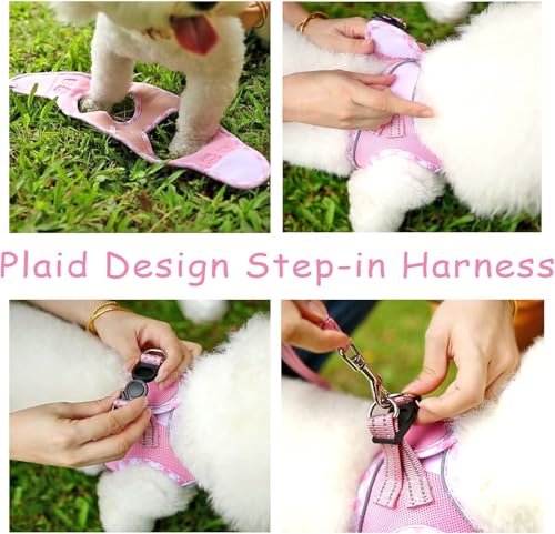 Hipubby Dog Harness Small Sized and Leash Set, No Pull Soft Mesh Puppy Vest, Reflective Breathable Lightweight Pet Harnes...