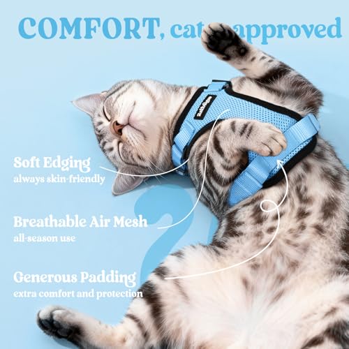 rabbitgoo Cat Harness and Leash for Walking, Escape Proof Soft Adjustable Vest Harnesses for Cats, Easy Control Breathable...